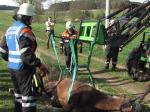 Tierrettung-Kleinaign-Pferd
